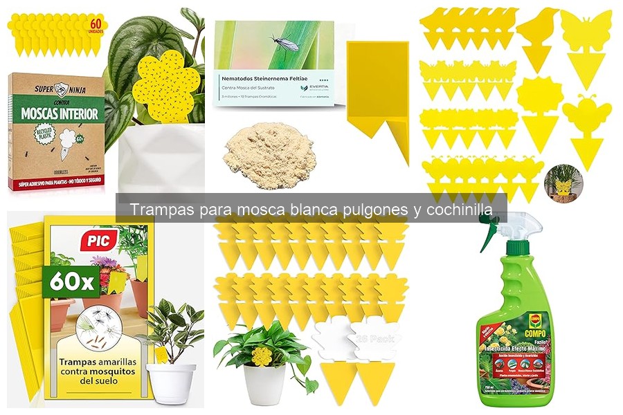 Testimonios sobre trampas para mosca blanca y pulgones