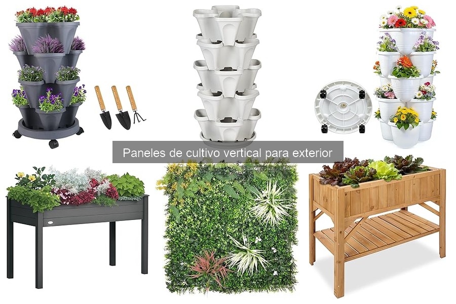 Tiempo de Crecimiento en Paneles de Cultivo Vertical