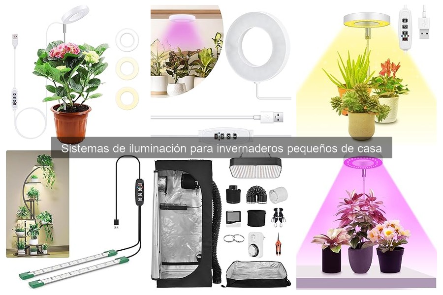 Tiempo de iluminación ideal para invernaderos pequeños