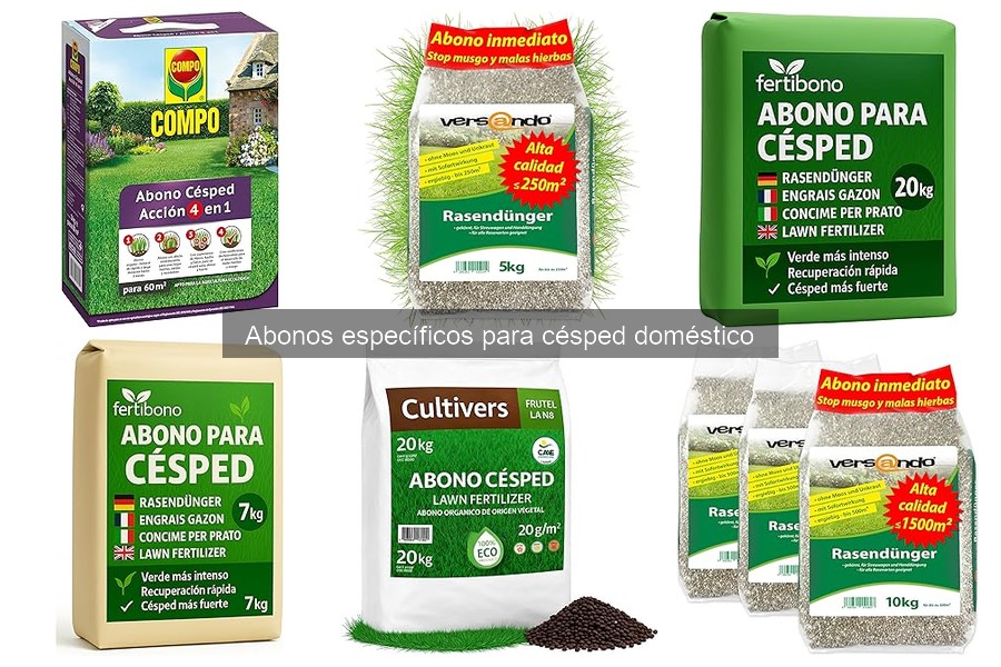 Tipos de abonos para césped y sus características