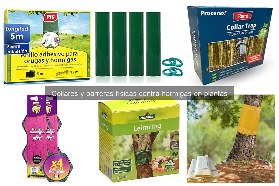 Tipos de collares y barreras físicas contra hormigas en plantas
