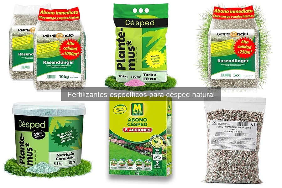 Tipos de fertilizantes para césped natural y sus aplicaciones