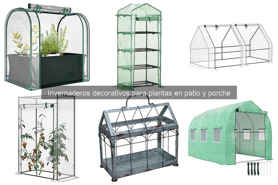 Tipos de invernaderos decorativos para tu patio y porche