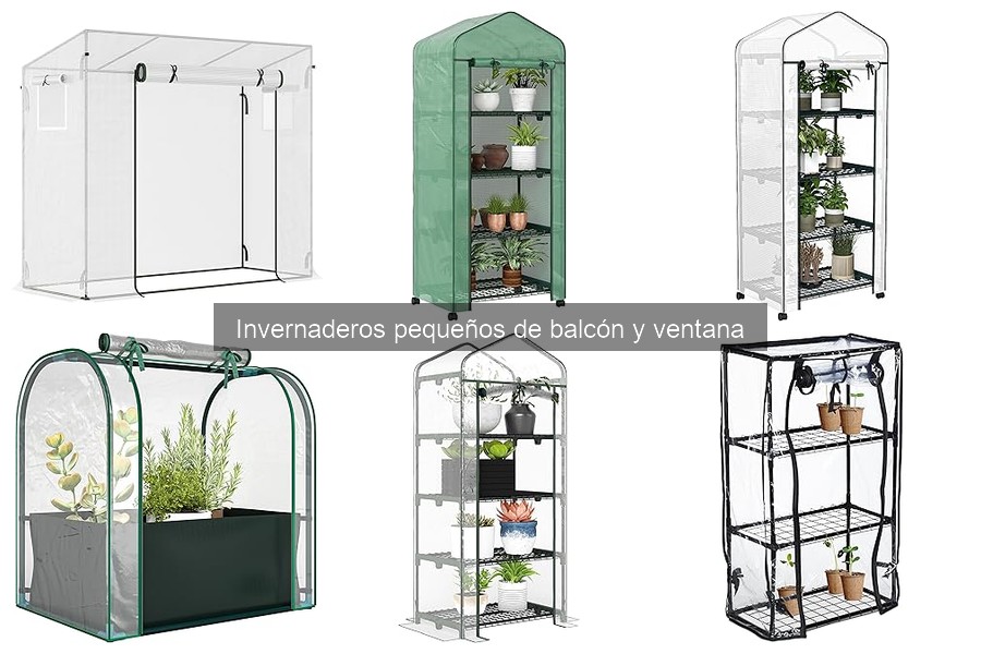 Tipos de invernaderos pequeños para balcón: guía completa