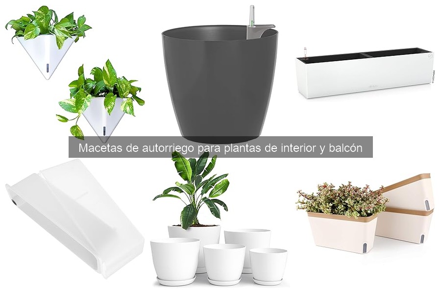 Tipos de macetas de autorriego: características y ventajas