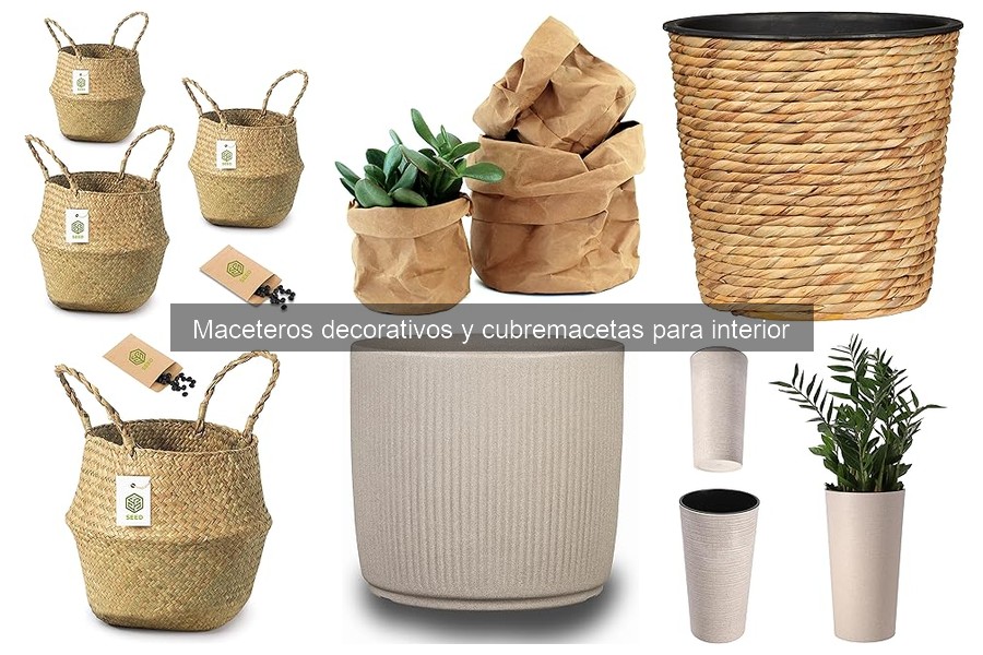 Tipos de maceteros decorativos para interior: guía práctica