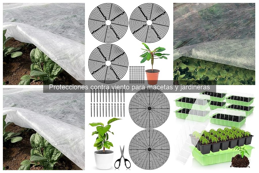 Tipos de protecciones contra viento para macetas y jardineras
