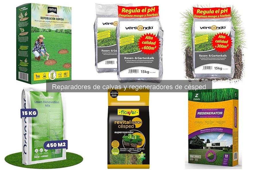 Tipos de reparadores de calvas para césped: guía completa