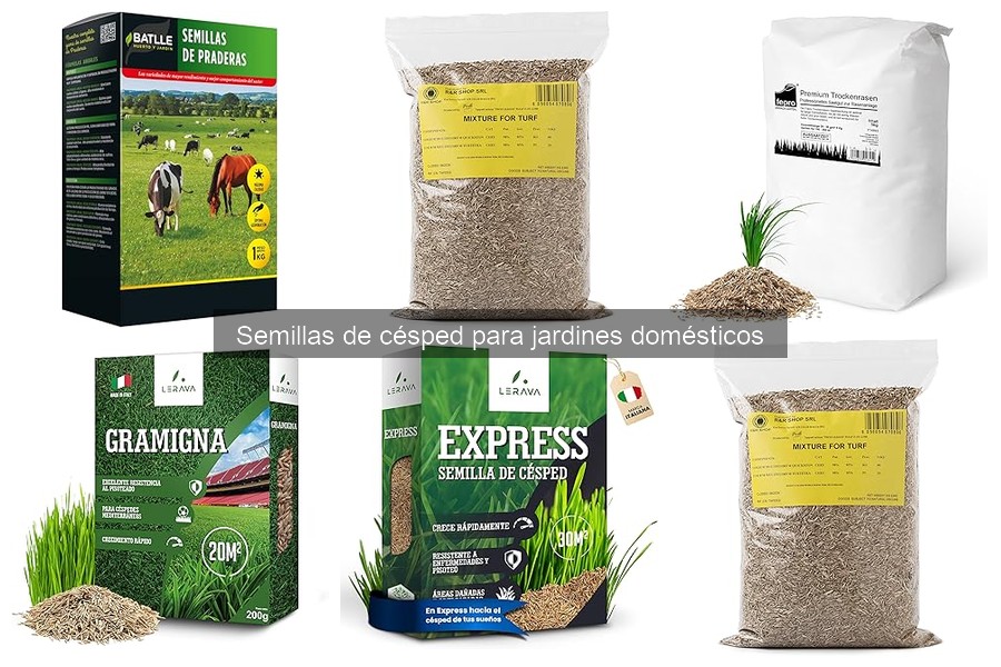 Tipos de semillas de césped para jardines domésticos