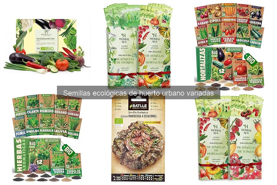 Tipos de Semillas Ecológicas para Huertos Urbanos