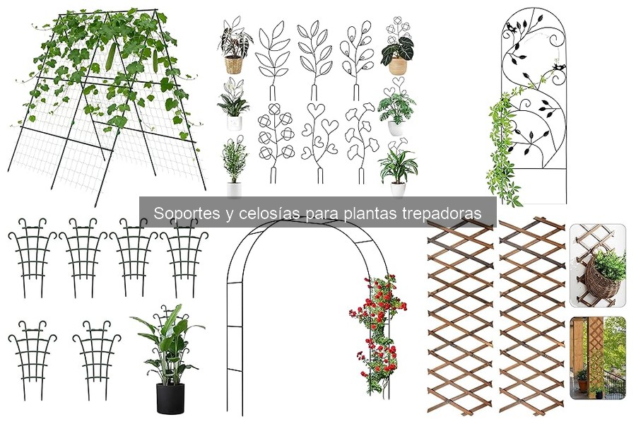 Tipos de soportes y celosías para plantas trepadoras