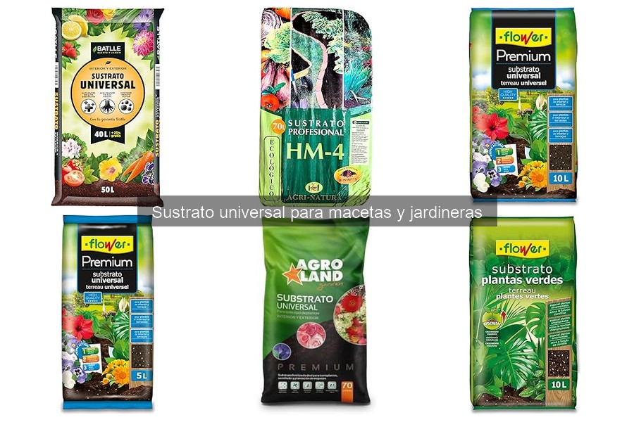 Tipos de sustratos para macetas: Comparativa y ventajas