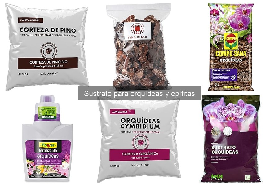Tipos de sustratos para orquídeas: usos y recomendaciones