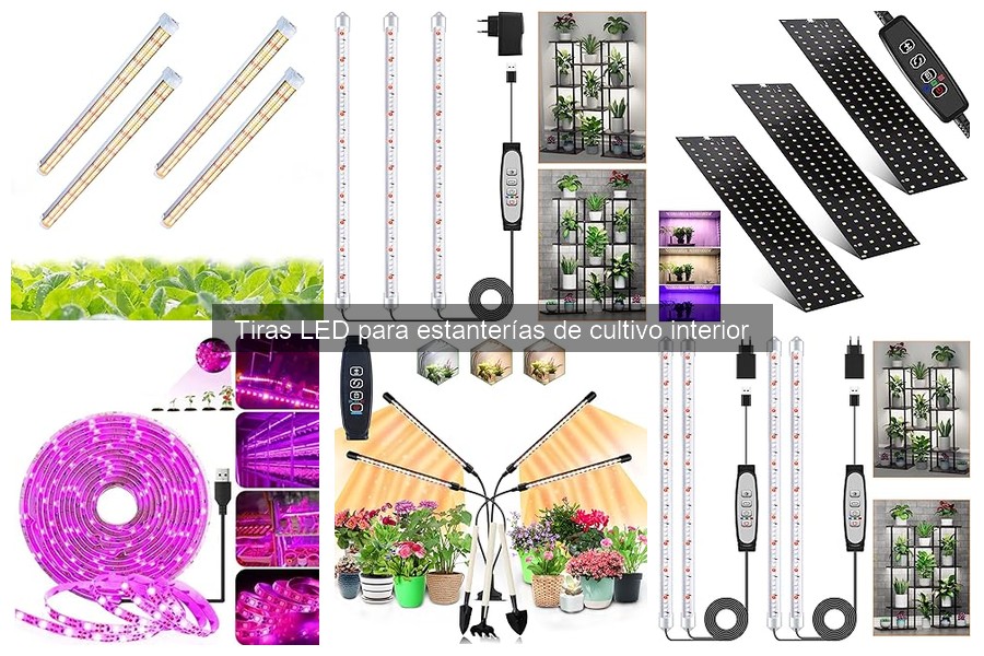 Tipos de tiras LED para cultivo interior: guía y características