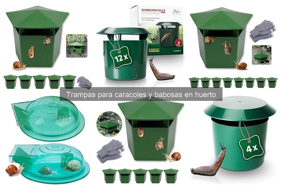 Tipos de trampas para caracoles y babosas en huerto
