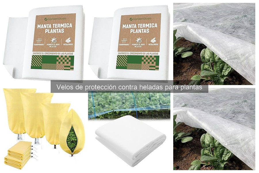 Tipos de Velos de Protección contra Heladas para Plantas