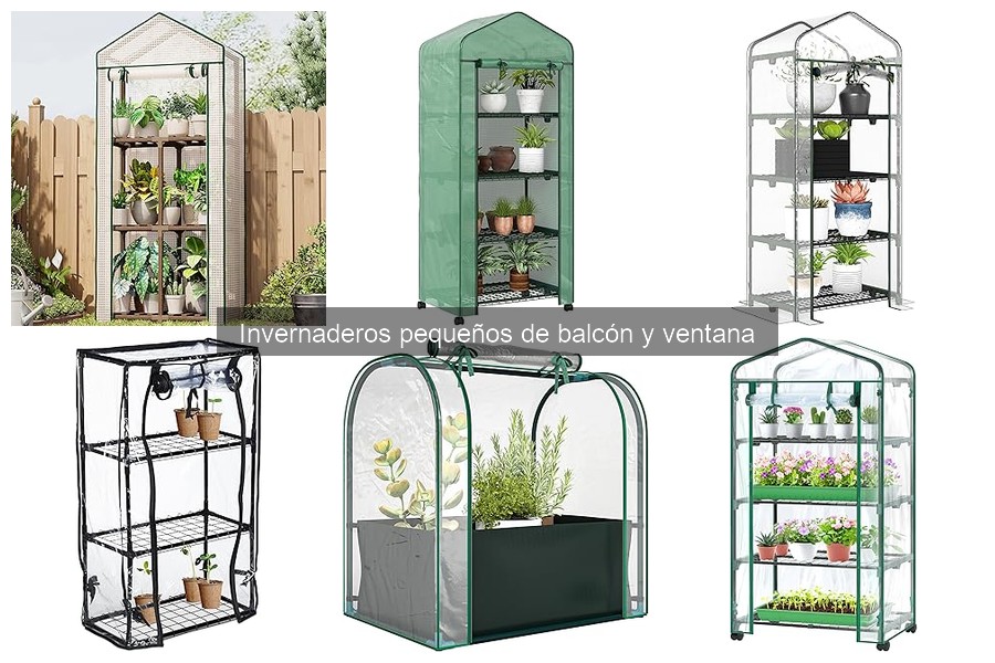 Tips para maximizar tu invernadero pequeño en espacios reducidos