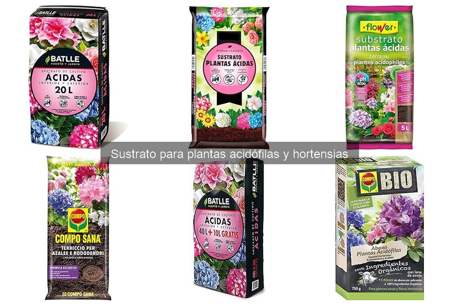 Todo sobre el sustrato para plantas acidófilas