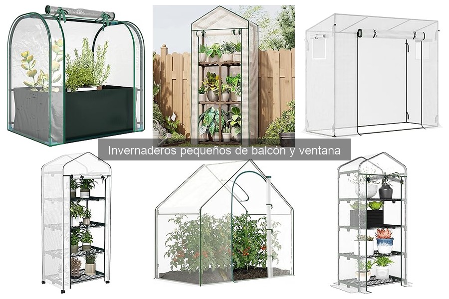 Uso eficaz de invernaderos pequeños para cultivos específicos