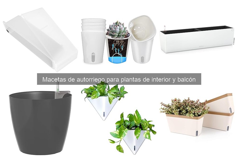 Usos creativos de macetas de autorriego para decorar tu hogar