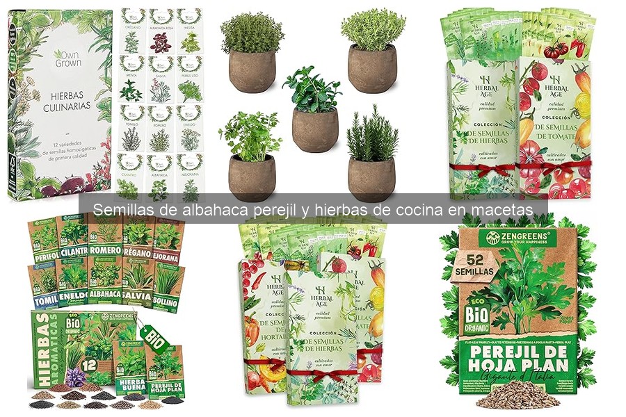 Variedades de Semillas de Albahaca: Características Clave