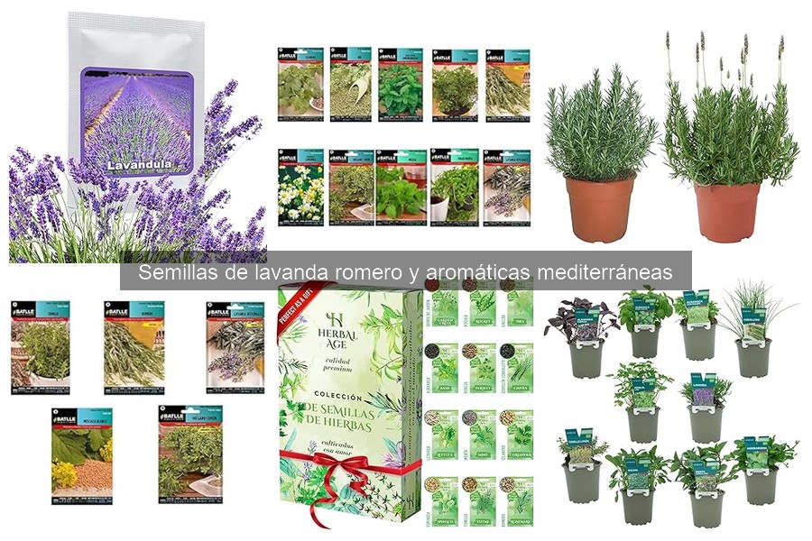 Variedades de semillas de romero y sus beneficios