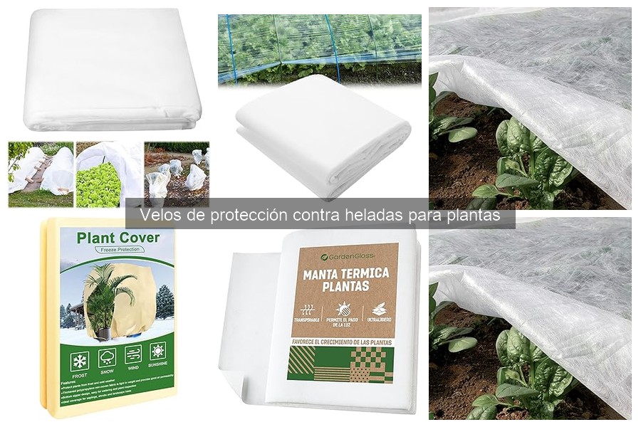 Velos de protección contra heladas: qué son y su función