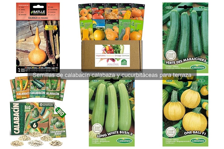 Ventajas de cultivar calabacines y calabazas en casa