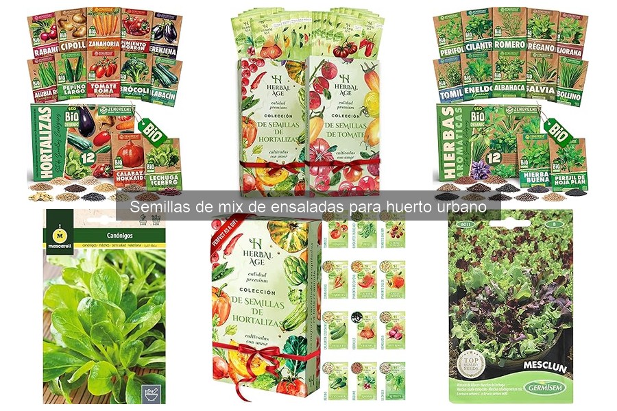 Ventajas de Cultivar Mix de Ensaladas en Balcones y Terrazas