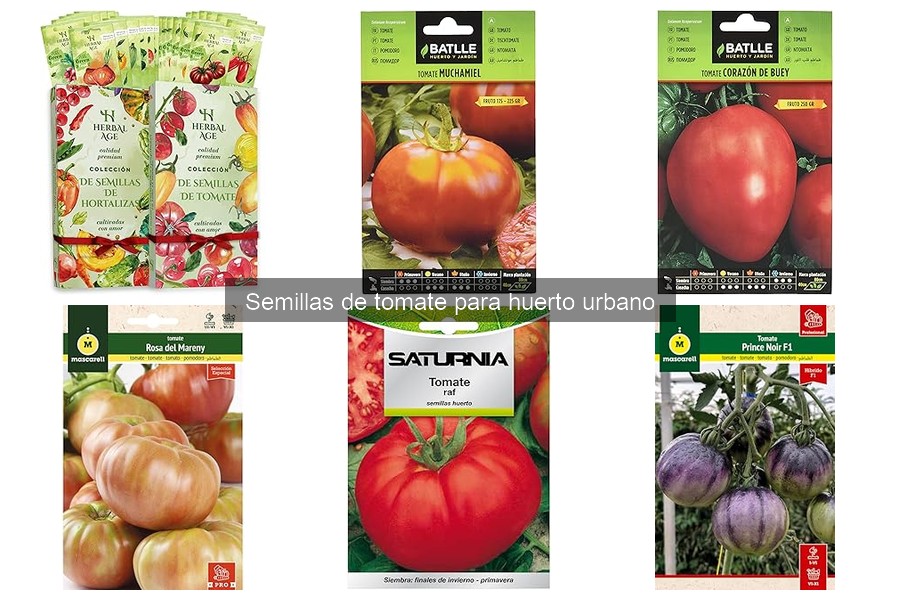 Ventajas de Cultivar Tomates Desde Semillas en Huerto Urbano