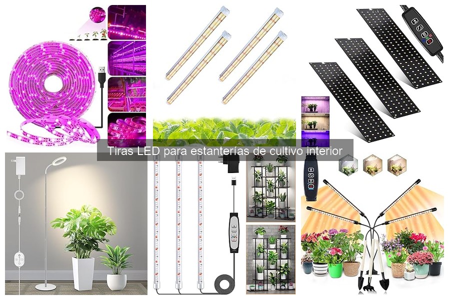 Ventajas de las tiras LED en cultivos interiores