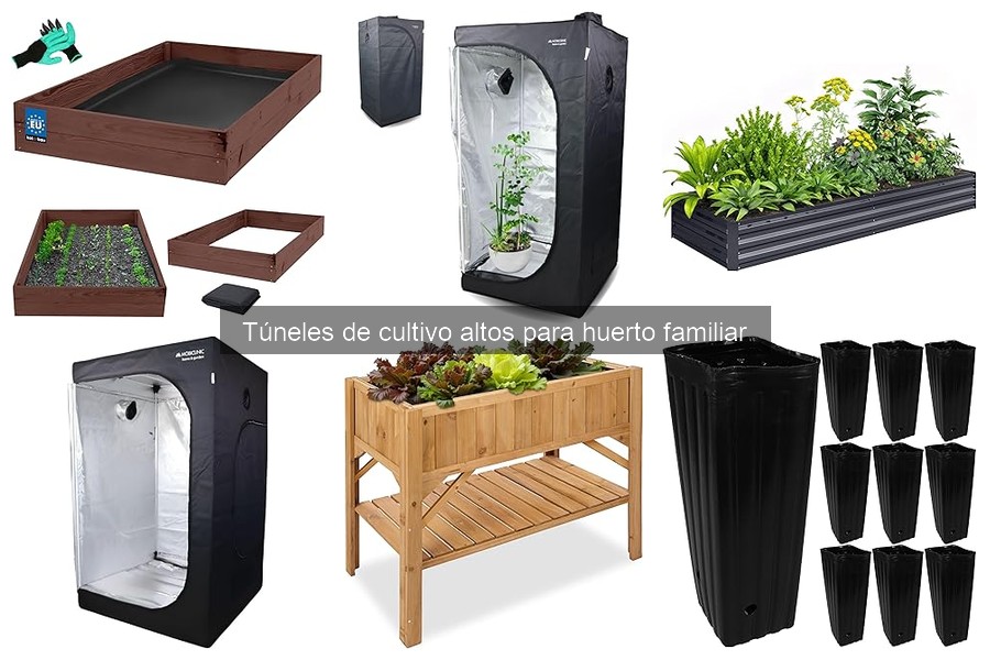 Ventajas de los túneles de cultivo altos para tu huerto