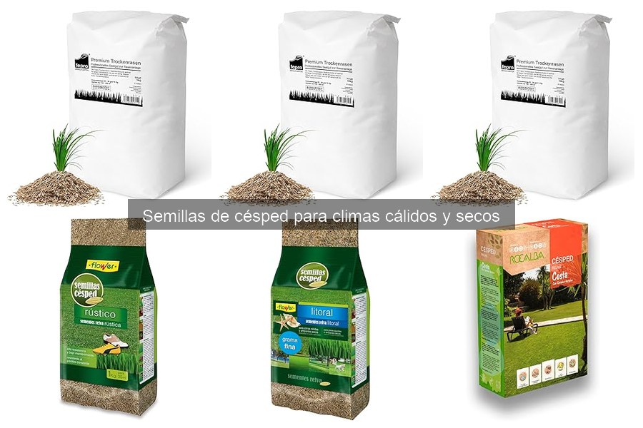 Ventajas de semillas de césped resistentes a la sequía