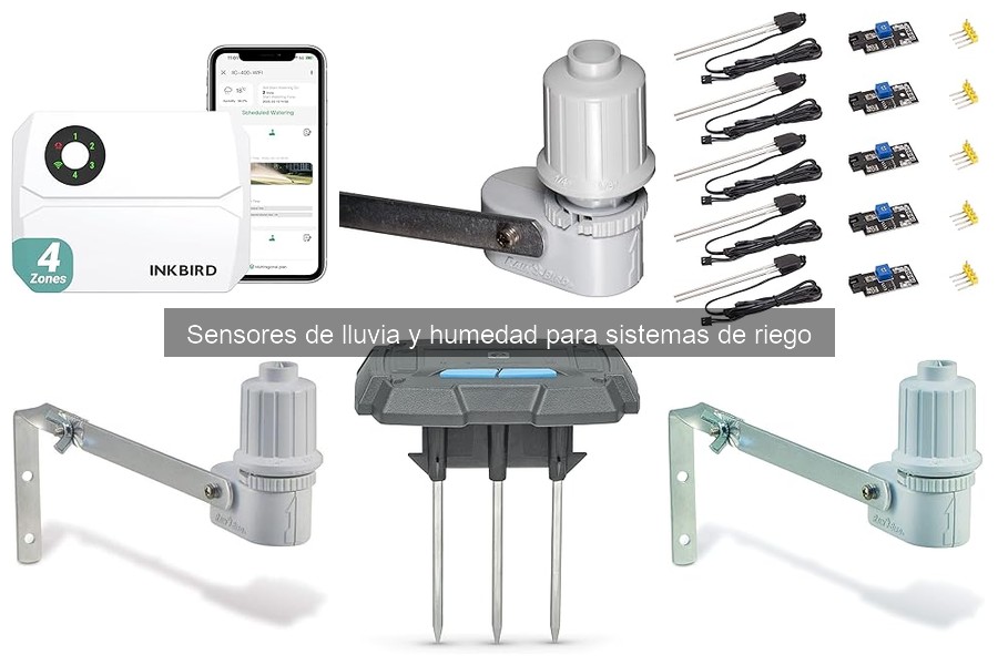 Ventajas de Sensores de Lluvia y Humedad en Riego