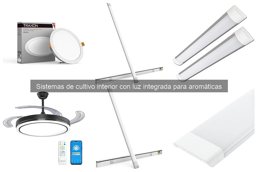** Ventajas de sistemas de cultivo con luz integrada para aromáticas