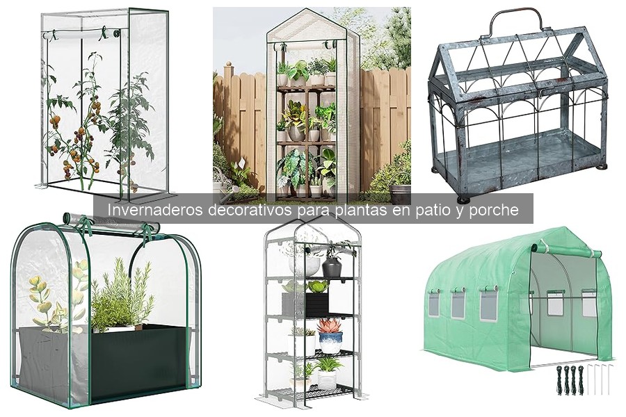 ** Ventajas de un Invernadero Decorativo en tu Patio