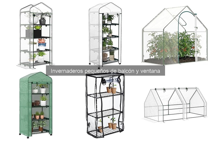 Ventajas de un invernadero pequeño en el balcón