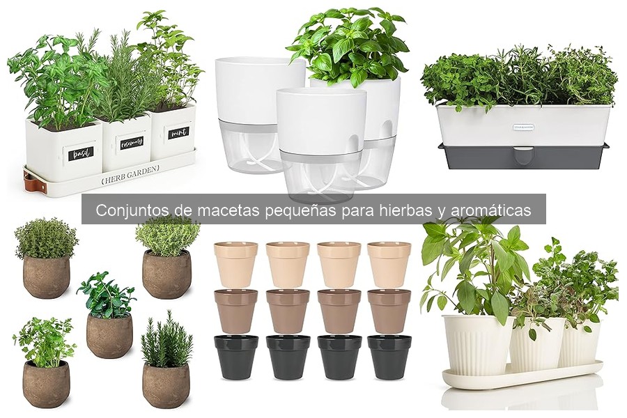 Ventajas de usar conjuntos de macetas pequeñas para hierbas