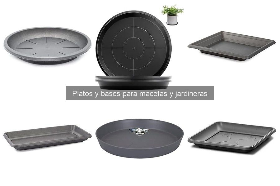 Ventajas de usar platos y bases para macetas en cultivo