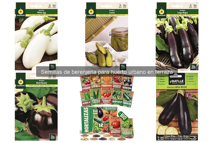 Ventajas de usar semillas de berenjena en tu huerto urbano