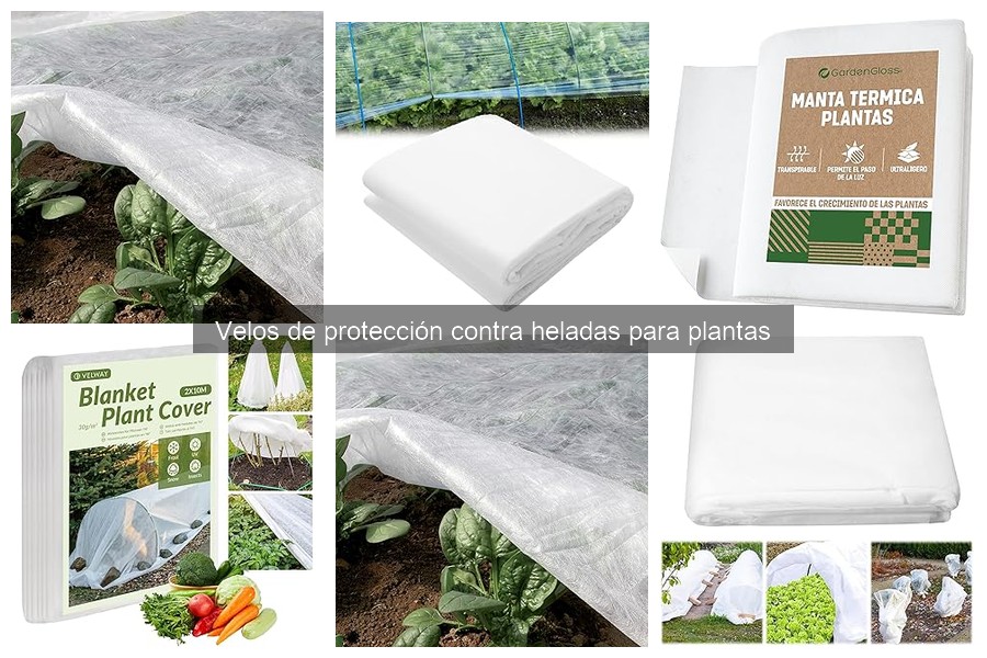 Ventajas de usar velos de protección contra heladas
