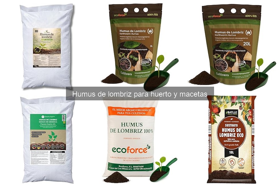 Ventajas del humus de lombriz en macetas para tus plantas