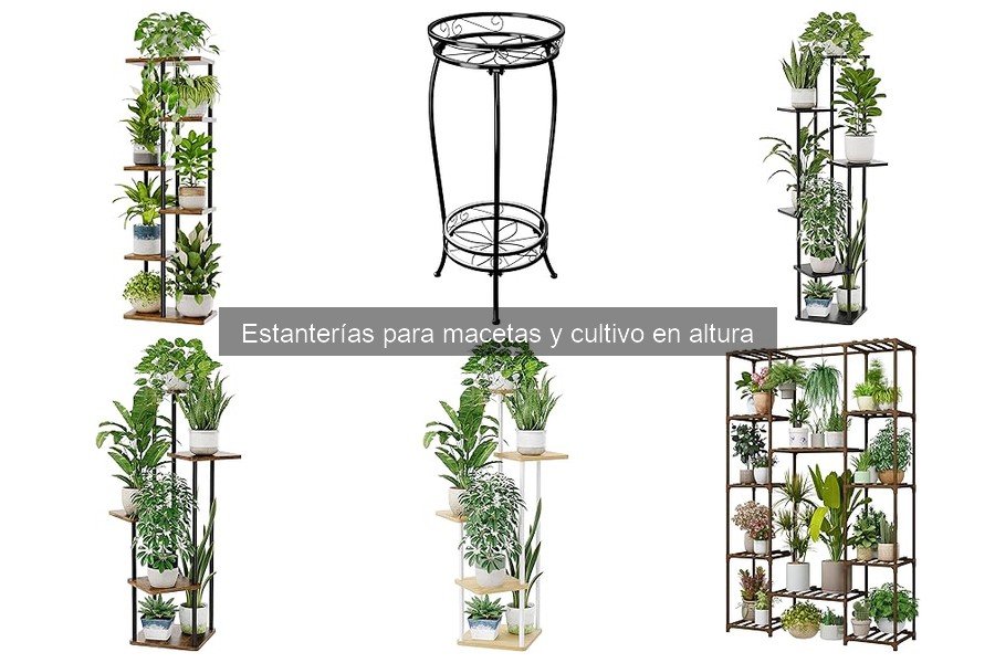 Ventajas y desventajas de estanterías para macetas