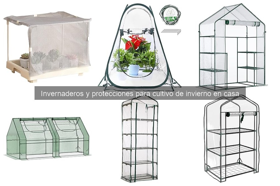 Ventajas y desventajas de invernaderos para cultivos de invierno