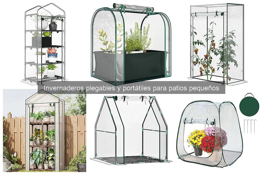 Ventajas y desventajas de invernaderos plegables para patios