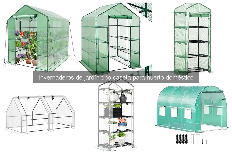 Ventajas y desventajas de invernaderos tipo caseta en casa