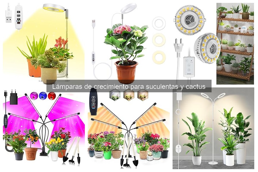 Ventajas y desventajas de lámparas de crecimiento para suculentas