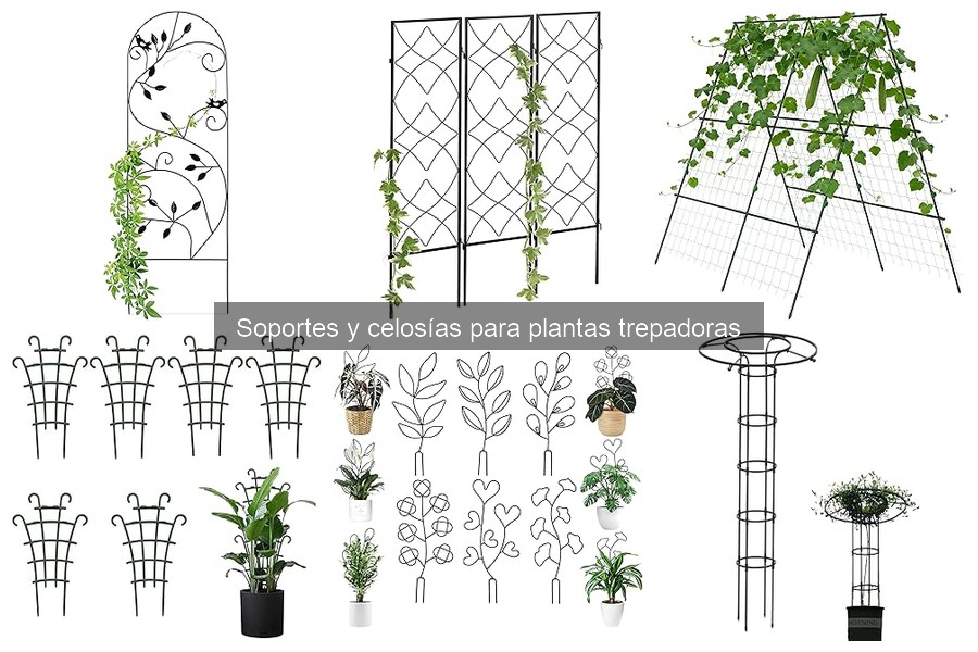 Ventajas y Desventajas de las Celosías para Plantas Trepadoras