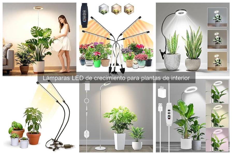 Ventajas y desventajas de las lámparas LED de crecimiento