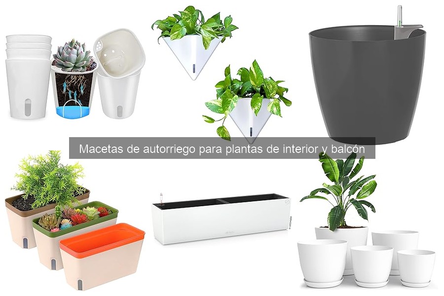 Ventajas y desventajas de las macetas de autorriego